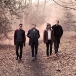 �������� Wild Beasts �������� � ������ �� ��������� Selector Live