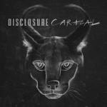 Disclosure ����� ���������� ���������� ��������� ����